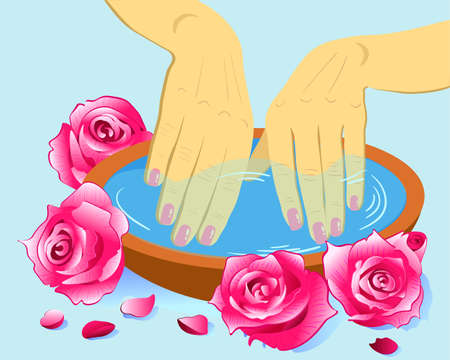 Manicure, hand care. Woman s manicured hands roses, vector illustrationのイラスト素材