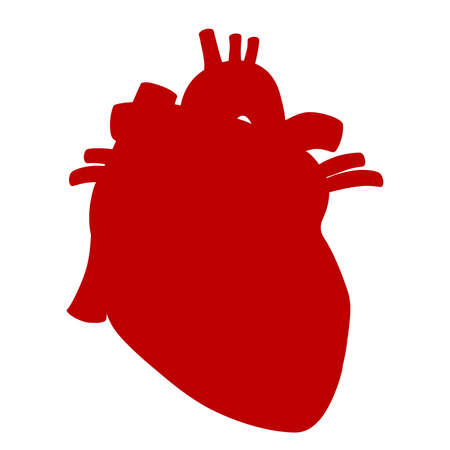 Human heart anatomical vector illustration isolated on white backgroundのイラスト素材