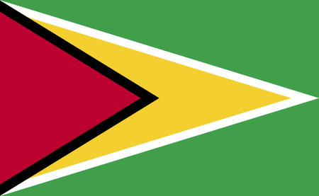 Guyana national flag in exact proportions - Vector illustrationのイラスト素材