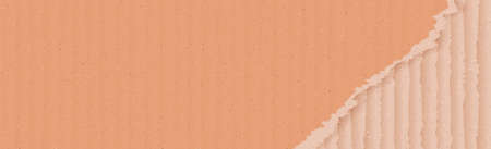 Realistic texture of natural yellow-gray cardboard - illustrationの写真素材