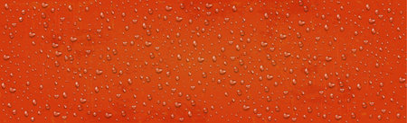 Realistic Water Drops on Red Background - Vector illustrationのイラスト素材