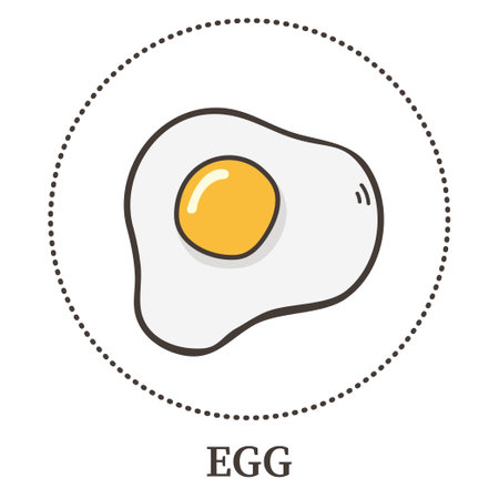 Realistic fried egg on white background - Vector illustrationのイラスト素材