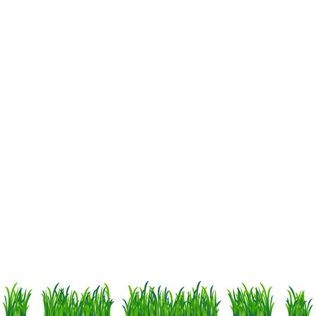 Realistic green meadow grass on white background - Vector illustrationのイラスト素材