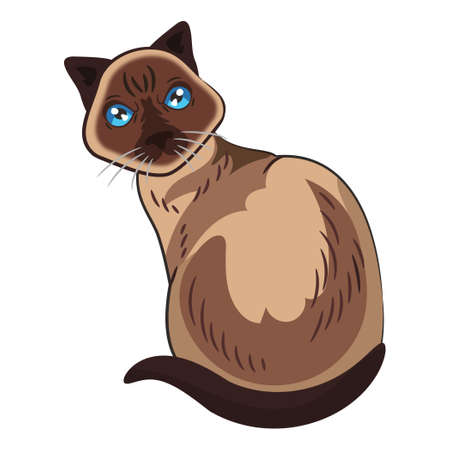 Realistic Siamese black cat sitting on a white background - Vector illustrationのイラスト素材