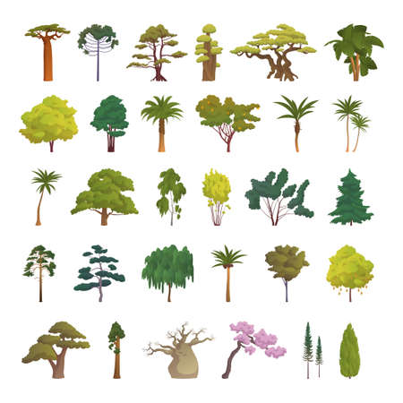 Seth trees from different climatic zones on a white background - Vector illustrationのイラスト素材