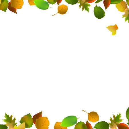Realistic autumn leaves on a light background - Vector illustrationのイラスト素材