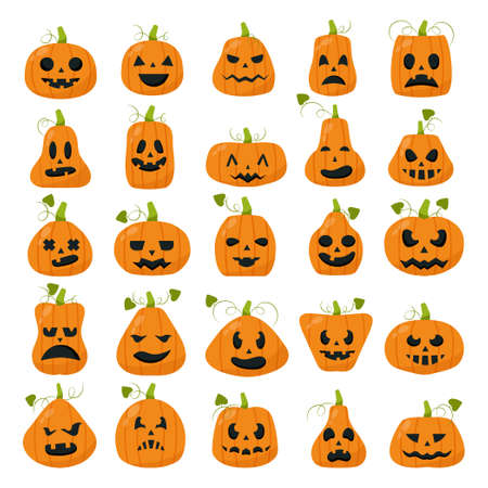 Set of 25 pcs realistic pumpkins for the holiday halloween - Vector illustrationのイラスト素材