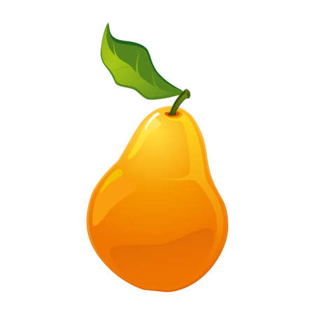 Realistic ripe fresh pear against white background - Vector illustrationのイラスト素材