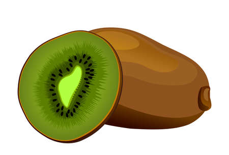 Realistic kiwi fruit on white background - Vector illustrationのイラスト素材