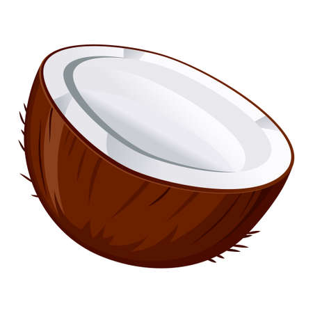 Realistic fresh coconut and coconut milk white background - Vector illustrationのイラスト素材