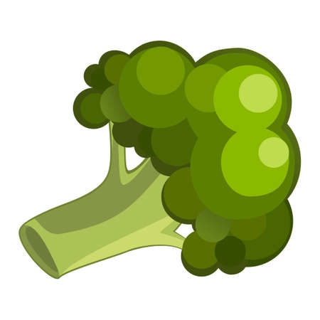 Realistic fresh broccoli isolated on white background - Vector illustrationのイラスト素材