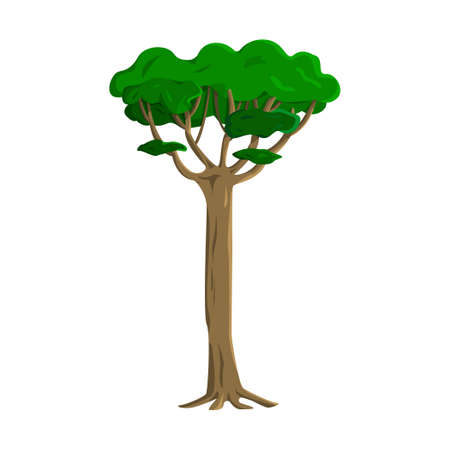 Realistic green old tall tree isolated on white background - Vector illustrationのイラスト素材