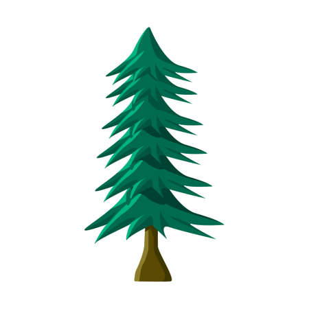Realistic green spruce isolated on white background - Vector illustrationのイラスト素材