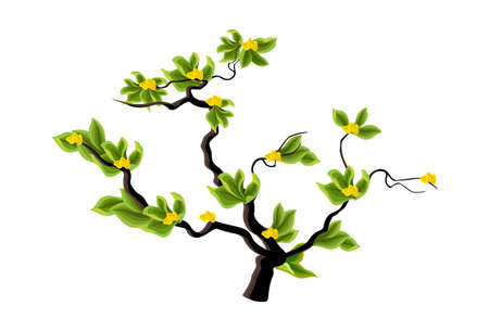 Realistic green bushes on white background - Vector illustrationのイラスト素材