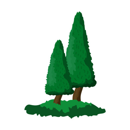 Realistic dense green fir trees on white background - Vector illustrationのイラスト素材
