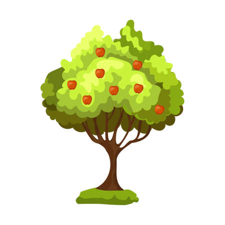 Realistic green apple tree with red apples isolated on white background - Vector illustrationのイラスト素材