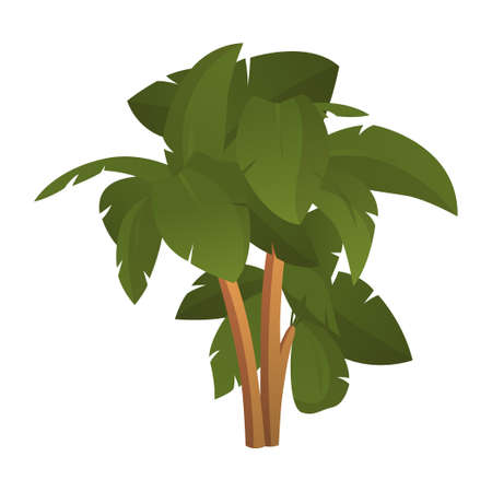 Realistic tall green palm trees isolated on white background - Vector illustrationのイラスト素材