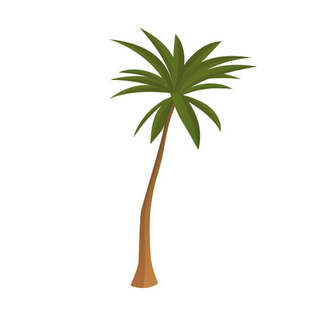 Realistic tall green palm tree isolated on white background - Vector illustrationのイラスト素材