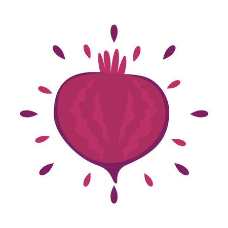 Abstract juicy beetroot icon with splash on white background - Vector illustration
