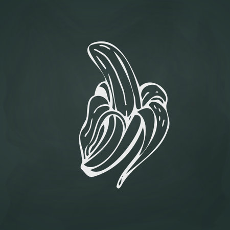 Banana thin white lines on a textural dark background - Vector illustrationのイラスト素材