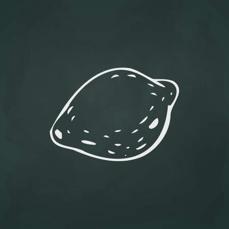 Lemon thin white lines on a textural dark background - Vector illustrationのイラスト素材