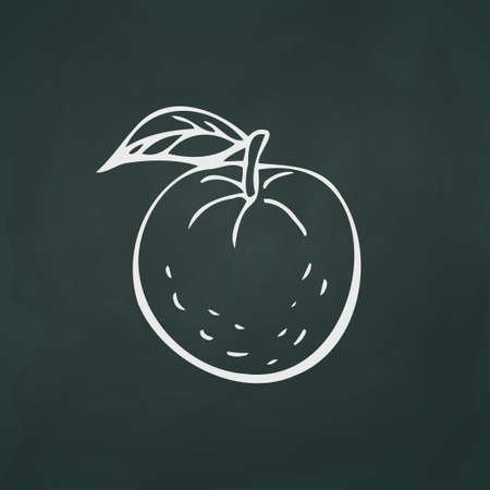 Tangerines thin white lines on a textural dark background - Vector illustrationのイラスト素材
