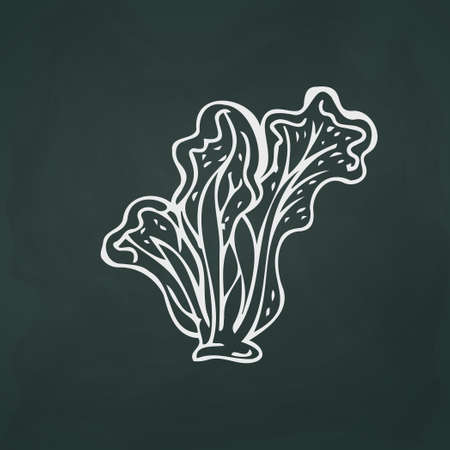 Lettuce leaves thin white lines on a textural dark background - Vector illustrationのイラスト素材