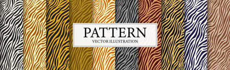 Set of 10 patterns of multi-colored Zerba skins - Vector illustrationのイラスト素材