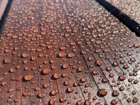 Lots of water drops on dark wood backgroundの写真素材