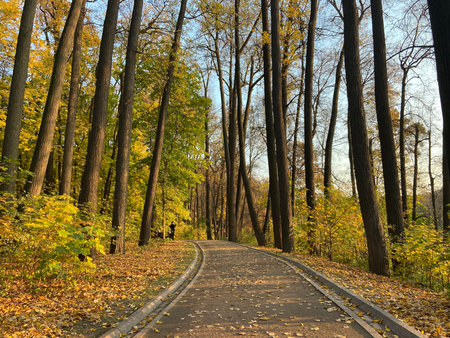 Autumn park, red orange yellow color of autumn.