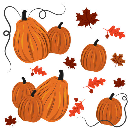 Set 7pcs. orange pumpkins on white background, harvest festival - Vector illustrationのイラスト素材