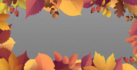 Autumn red and yellow leaves, web template transparent background - Vector illustrationのイラスト素材