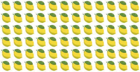Panoramic pattern lemon on a white background - Vectorのイラスト素材