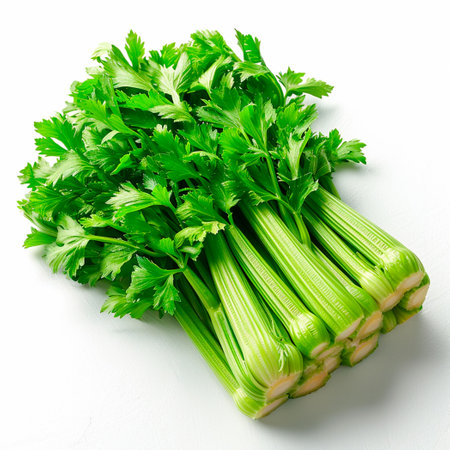 Fresh celery on a white background - AI generated imageの写真素材