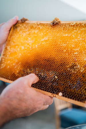 Hand Pointing to the Honey within a the Honeycombs of a Beehive Frame