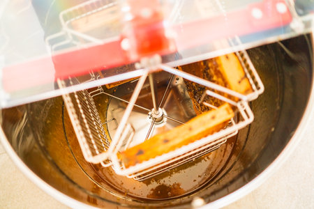 Beehive Frames Filled with Honey Ready to be Extracted within the Centrifugal Extractor Top Viewの写真素材