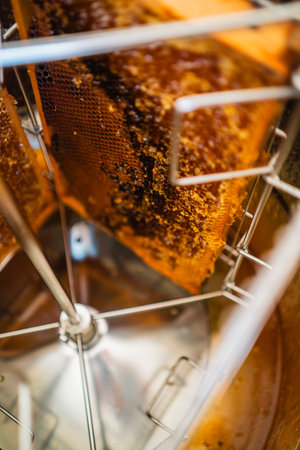 Beehive Frame with Honeycombs Filled with Honey Ready to be Extracted within the Centrifugal Extractor Close Upの写真素材