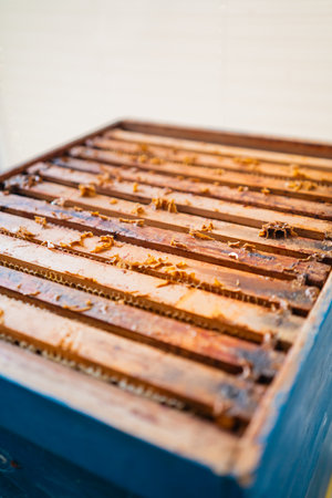 Beehive with Wooden Frames Filled with Honeycombs and Honey Cellsの写真素材