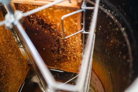 Beehive Frames Filled with Honey within the Centrifugal Honey Extractor Ready for Harvestingの写真素材