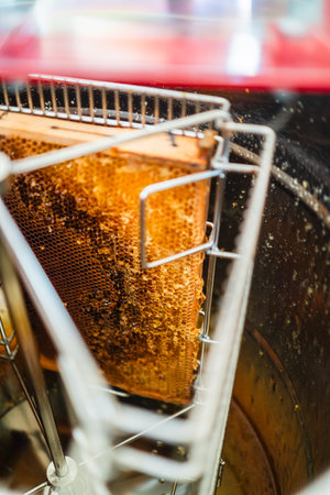 Beehive Frame Filled with Honey Ready to be Extracted within the Centrifugal Honey Extractorの写真素材