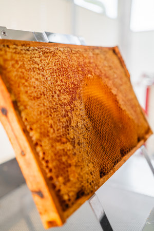 Hive Frame of a Beehive with Filled Honeycombs Close Upの写真素材