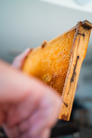 Honeycomb Cells Close Up within a Beehive Frameの写真素材