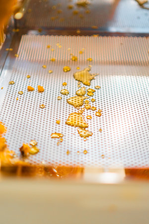 Honey Drips in a Beehive Decapping Tray Close Upの写真素材