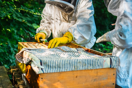 Beekeepers with Protective Suits Beekeeping the Beehives to Harvest Bee Honeyの写真素材