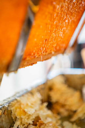 Viscouse Golden Honey Dripping Down Honeycomb Cells from a Beehive Close Upの写真素材