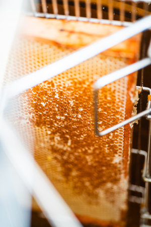 Beehive with Opened Honeycombs Filled with Bee Honey Placed in a Centrifugal Extractor to Harvestの写真素材