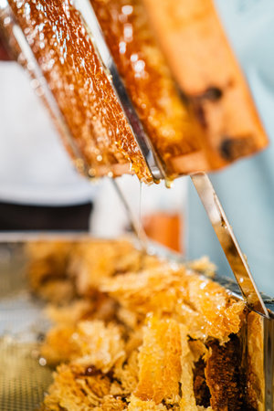 Viscouse Golden Bee Honey Dripping and Flowing Down the Honeycomb Cells Into a Decapping Tray