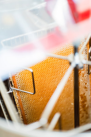 Beehive with Open Honeycomb Cells Placed in a Centrifugal Extractorの写真素材