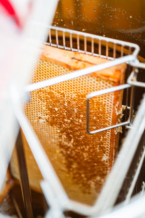 Beehive with Opened Honeycombs Filled with Bee Honey Placed in a Centrifugal Extractor for Honey Productionの写真素材