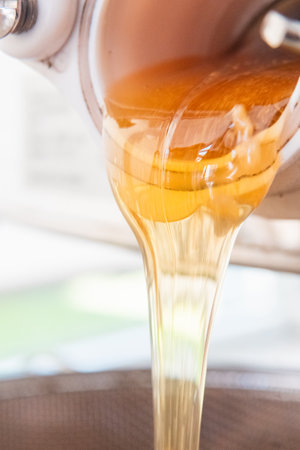 Viscous Golden Bee Honey Flowing Out Extreme Close Upの写真素材